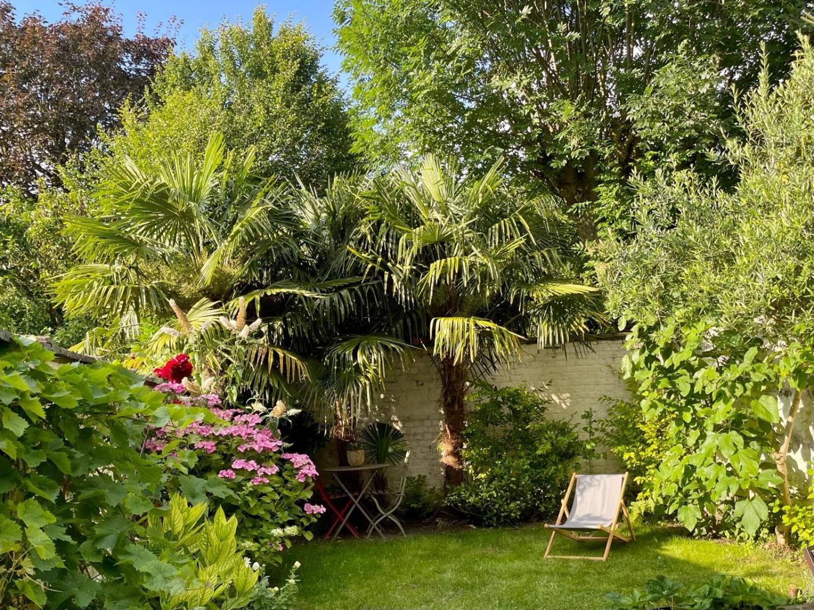 A La Fleur D Oranger - Lille La Madeleine Bed & Breakfast La Madeleine  Dış mekan fotoğraf